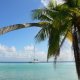 53- Imagine sous les cocotiers 